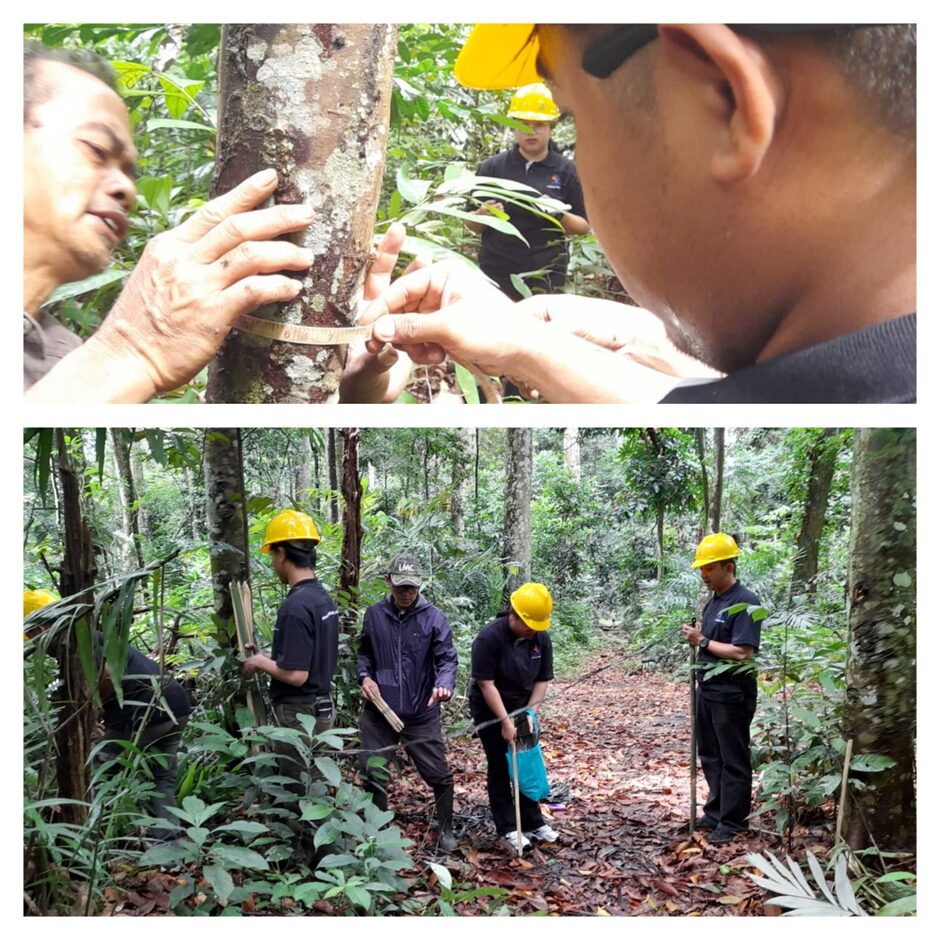 Carbon Integrity Redefined: Precision Assessment for High-Value Carbon Trade