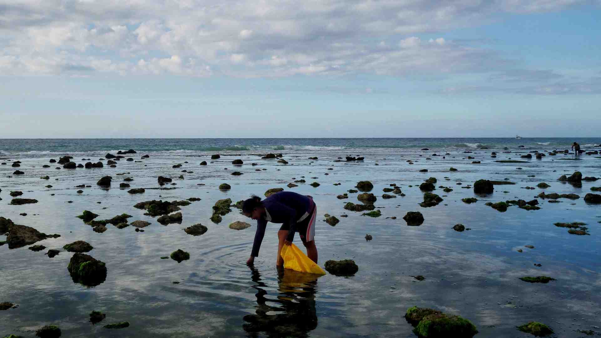 KSNT Zones: The Potential and Challenges of Seagrass Zoning as a Solution for Indonesia’s Climate