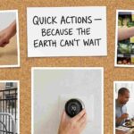 Quick Actions to Cut Your Carbon Footprint — Because the Earth Can’t Wait