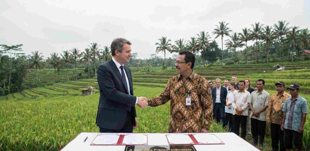 INDOCACAO Project: Strengthening Indonesia’s Cocoa Sector Through Inclusive, Sustainable, and High-Value Development