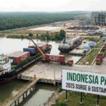 Indonesia’s Palm Oil Market Surges in 2025: Rising Domestic Demand, Strong Exports, and Industry Expansion Opportunities