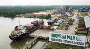 Indonesia’s Palm Oil Market Surges in 2025: Rising Domestic Demand, Strong Exports, and Industry Expansion Opportunities