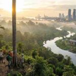 Indonesia’s Carbon Gold Rush Who Will Control the Next Trillion-Dollar Market