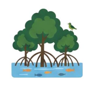 Climate Solution - Caarbon Nature - 2026