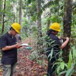 Carbon Integrity Redefined: Precision Assessment for High-Value Carbon Trade