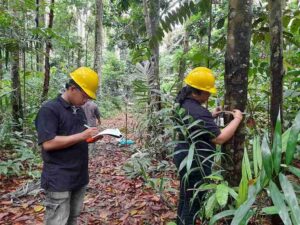 Carbon Integrity Redefined: Precision Assessment for High-Value Carbon Trade